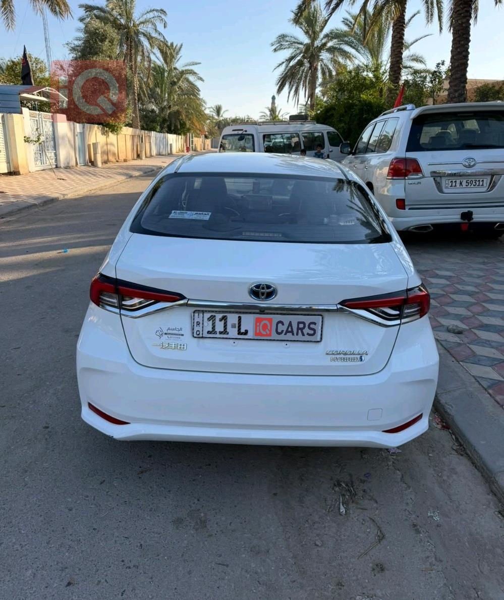 تويوتا كورولا